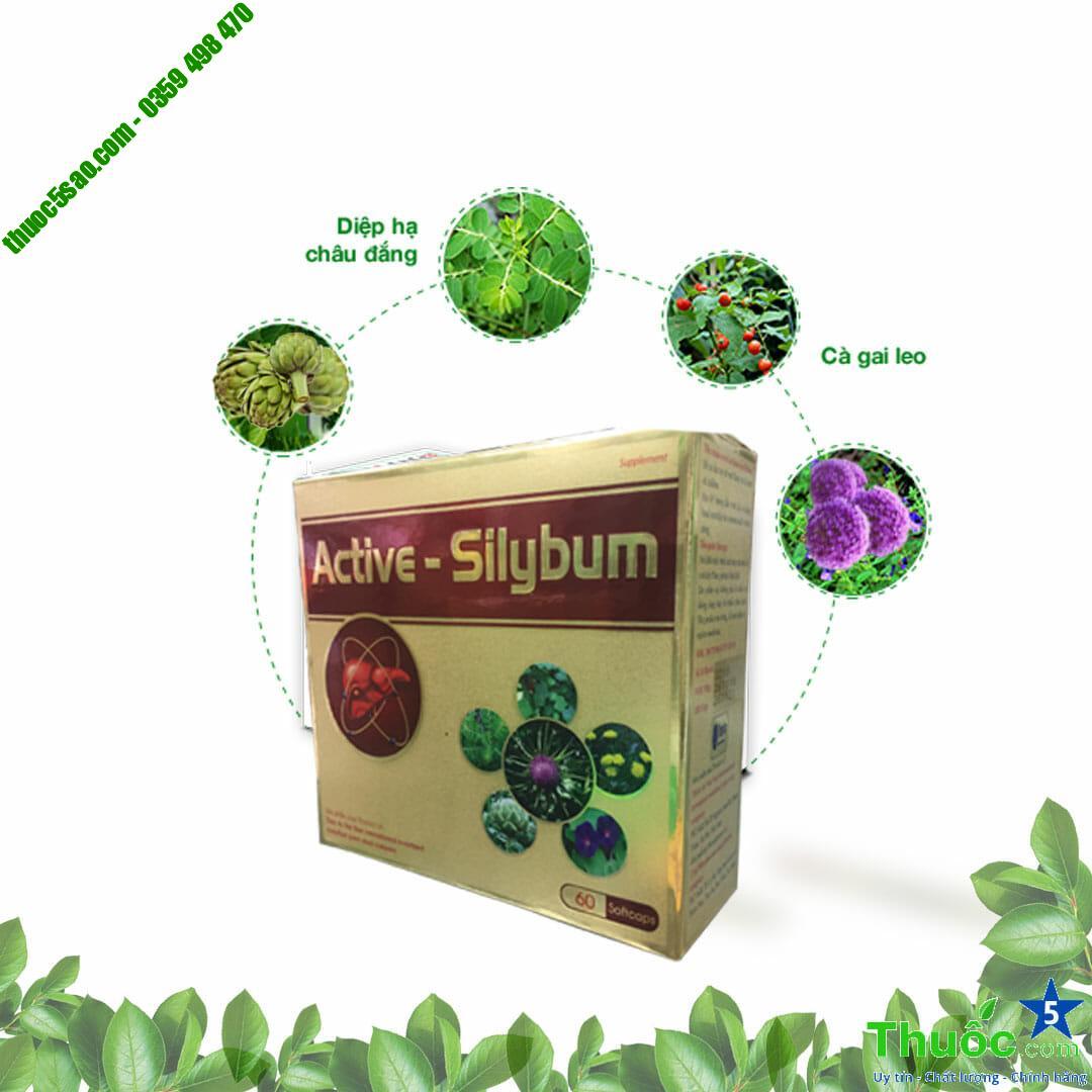 Active Silybum thải độc, mát gan, tăng cường chức năng gan - Thuốc 5 sao - Uy tín, chất lượng, chính hãng