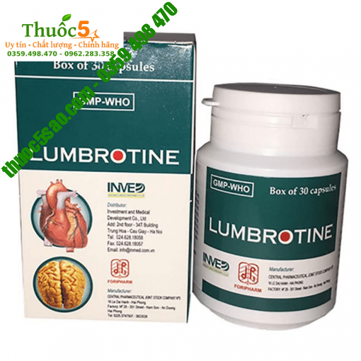 Lumbrotine hỗ trợ điều trị tai biến mạch máu não