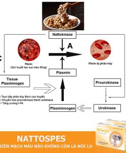 Nattospes phòng và điều trị tai biến hộp 180 viên