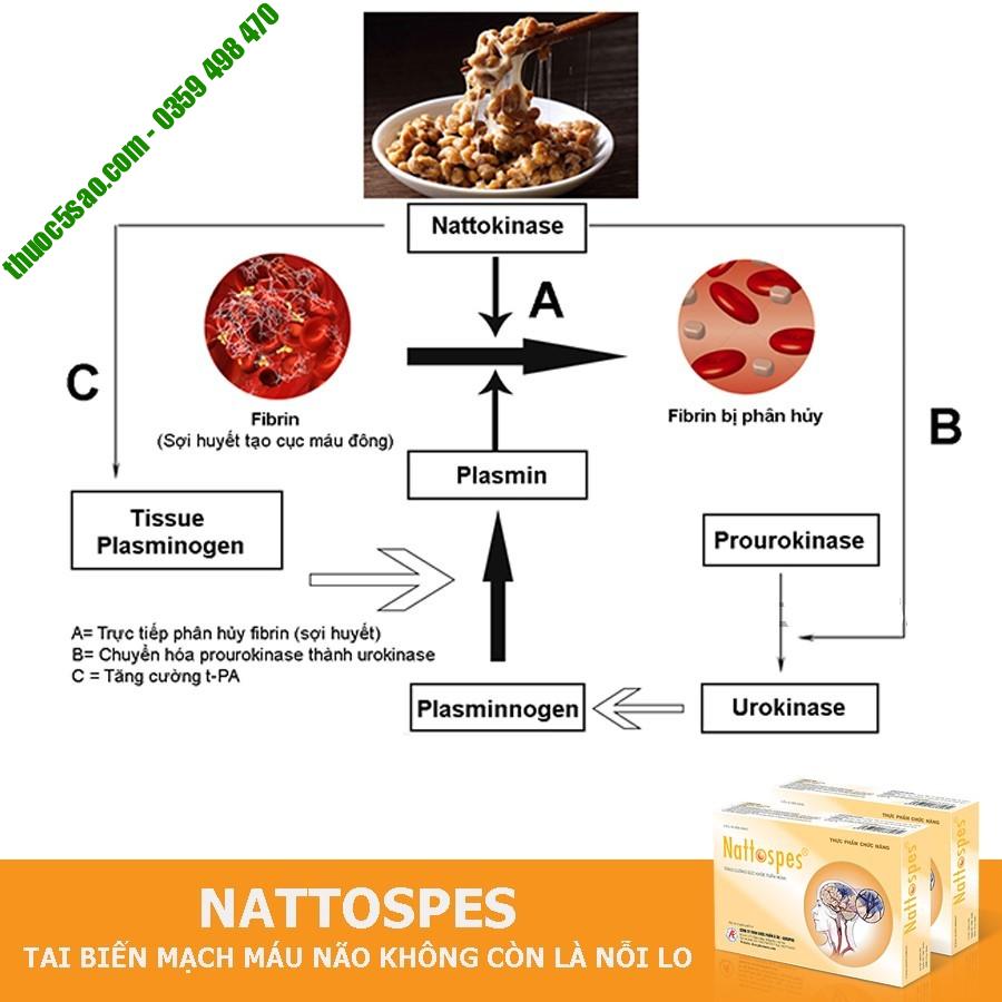 Nattospes phòng và điều trị tai biến hộp 180 viên