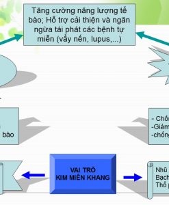 Kim Miễn Khang hỗ trợ cải thiện vảy nến hộp 180 viên