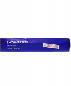Floxaval 500mg kháng sinh điều trị nhiễm khuẩn