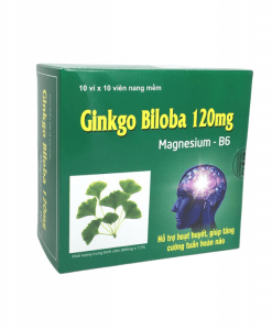 Ginkgo Biloba 120mg Magne B6 hoạt huyết bổ não