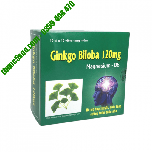 Ginkgo Biloba 120mg Magne B6 hoạt huyết bổ não