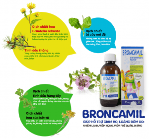 Broncamil giúp hỗ trợ giảm ho, loãng đờm
