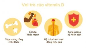 Vai trò của vitamin D