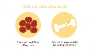 Vai trò của vitamin K
