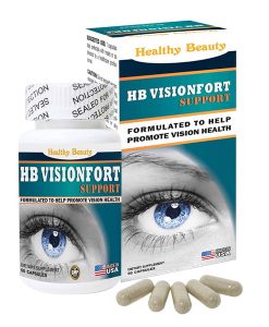 HB Visionfort Support