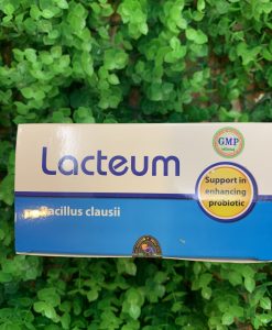 Men vi sinh Lacteum